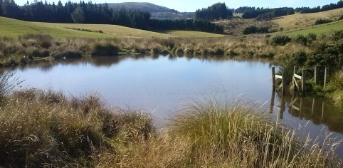 Wetland Fenced 2013 01 JWard 4