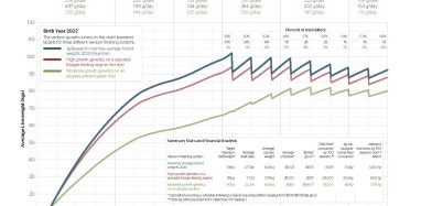 venison growth curves