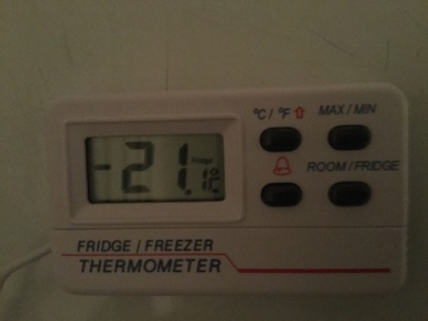 Example of thermometer that could be used to verify freezer temperature 1