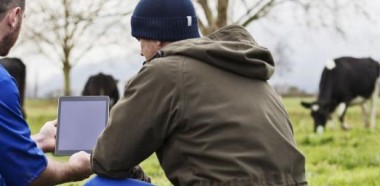 ipad farmers