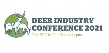 2021 DINZ Conference Logo