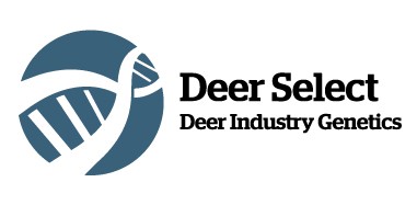 DeerSelect logo linear cmyk