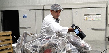 Velvet being scanned in a packhouse to generate an eVSD for farmer approval news story image