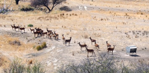 DROUGHT2