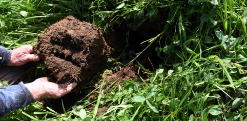 Soil testing