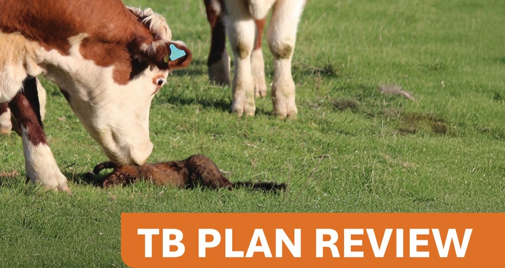 TB Plan Review thumbnail
