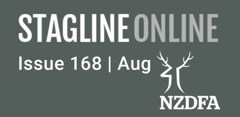 Stagline Online Landing page image ISSUE 168