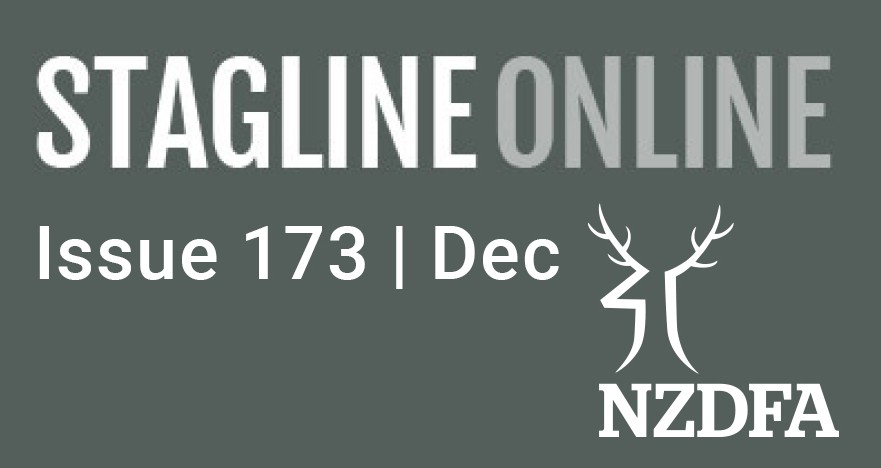 Stagline Online Landing page image issue 173 Dec 2021