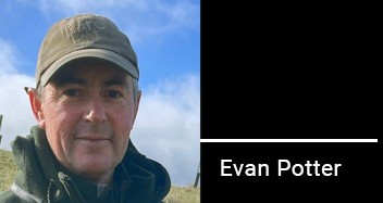 Landing page image for SL Exec piece evan