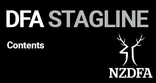 Stagline landing page template 12