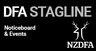 Stagline landing page template 1