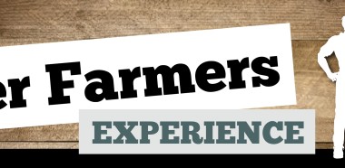 FDFE web banner